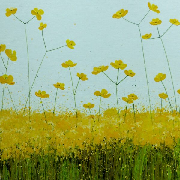 Tall Buttercups
